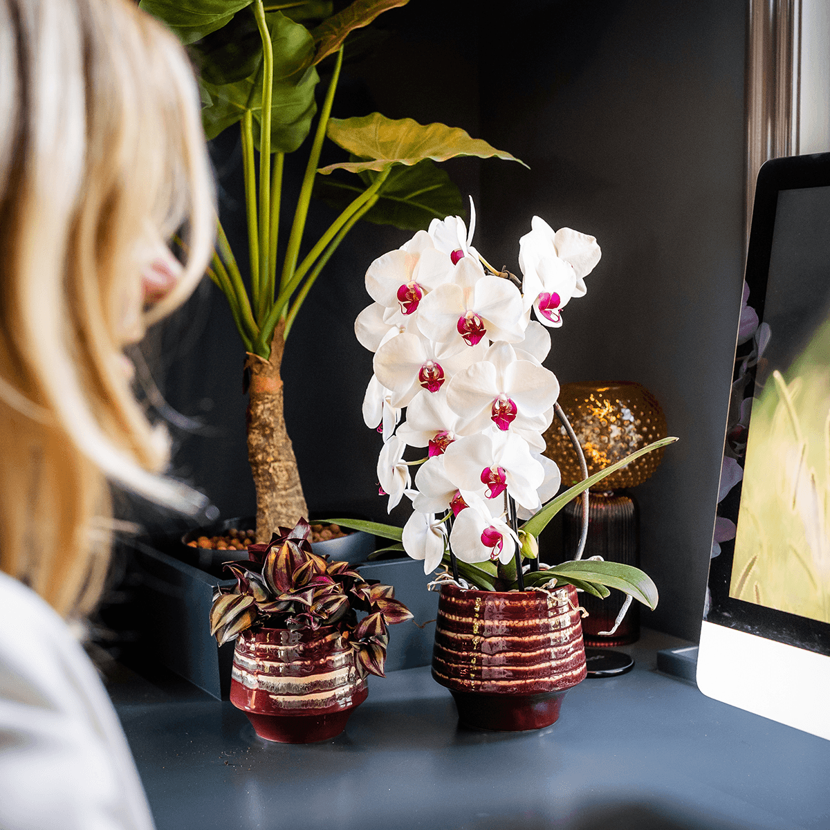 Übertopf Moonstone Burgundy Ø9cm – eleganter Keramik Blumentopf in Burgundrot – fein geschichtete Glasur mit dezentem Glanz – Pot
