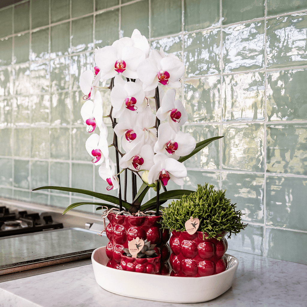 Übertopf Cotton Shine rot Ø12cm – Blumentopf mit Blasenrelief – hochglänzender Retro – Übertopf im 70er – Design – Pot