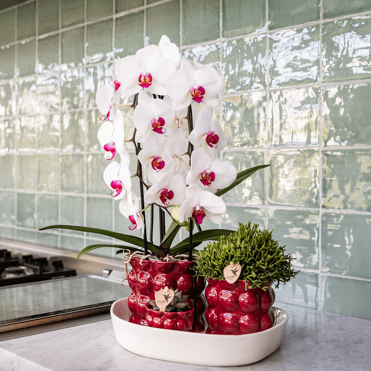 Übertopf Cotton Shine rot Ø12cm – Blumentopf mit Blasenrelief – hochglänzender Retro – Übertopf im 70er – Design – Pot