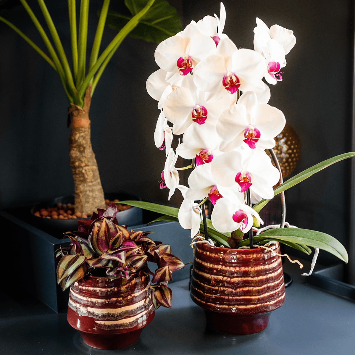Übertopf Moonstone Burgundy Ø9cm – eleganter Keramik Blumentopf in Burgundrot – fein geschichtete Glasur mit dezentem Glanz – Pot