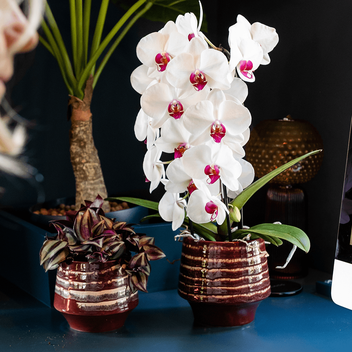 Übertopf Moonstone Burgundy Ø9cm – eleganter Keramik Blumentopf in Burgundrot – fein geschichtete Glasur mit dezentem Glanz – Pot