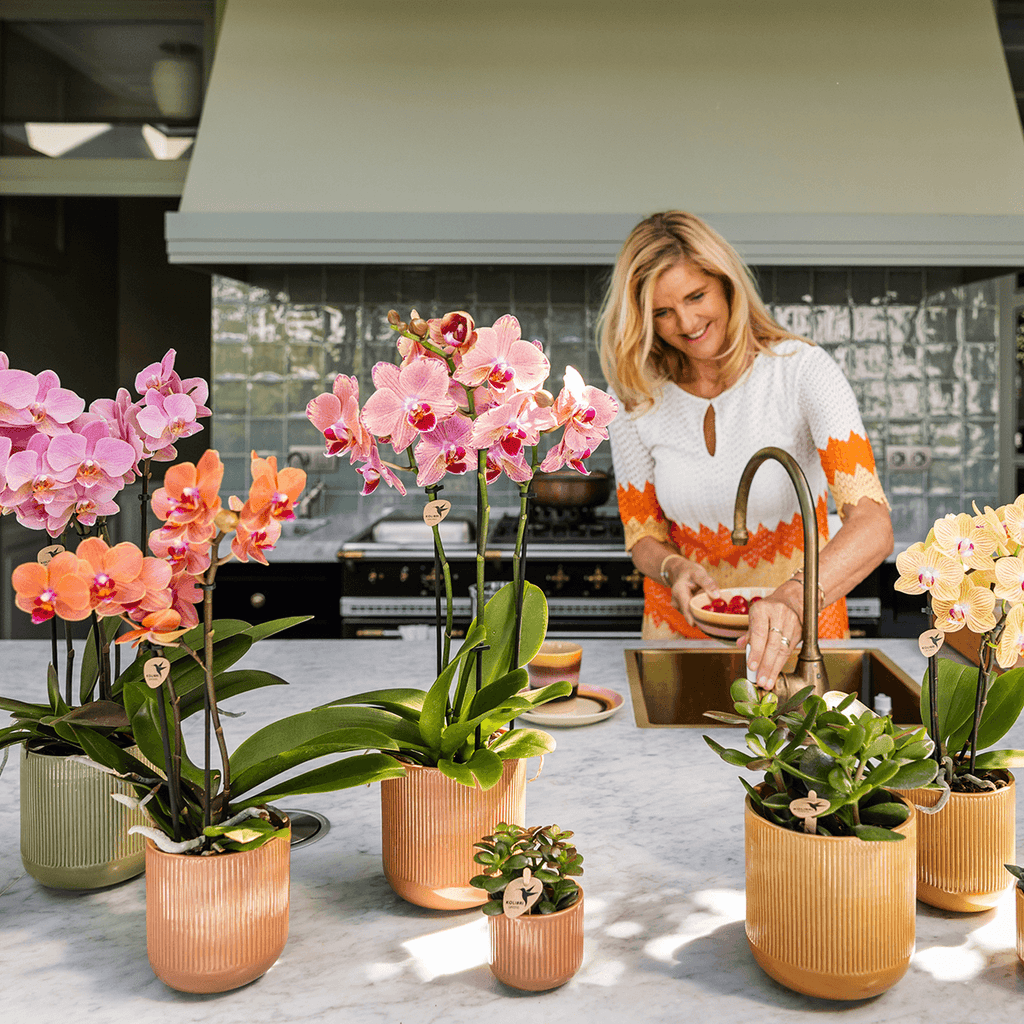 Dekotopf Flare ocker Ø6cm – Mini Blumentopf mit Rillenmuster – runder Retro – Übertopf im 70er – Design – Zimmerpflanzen – Pot