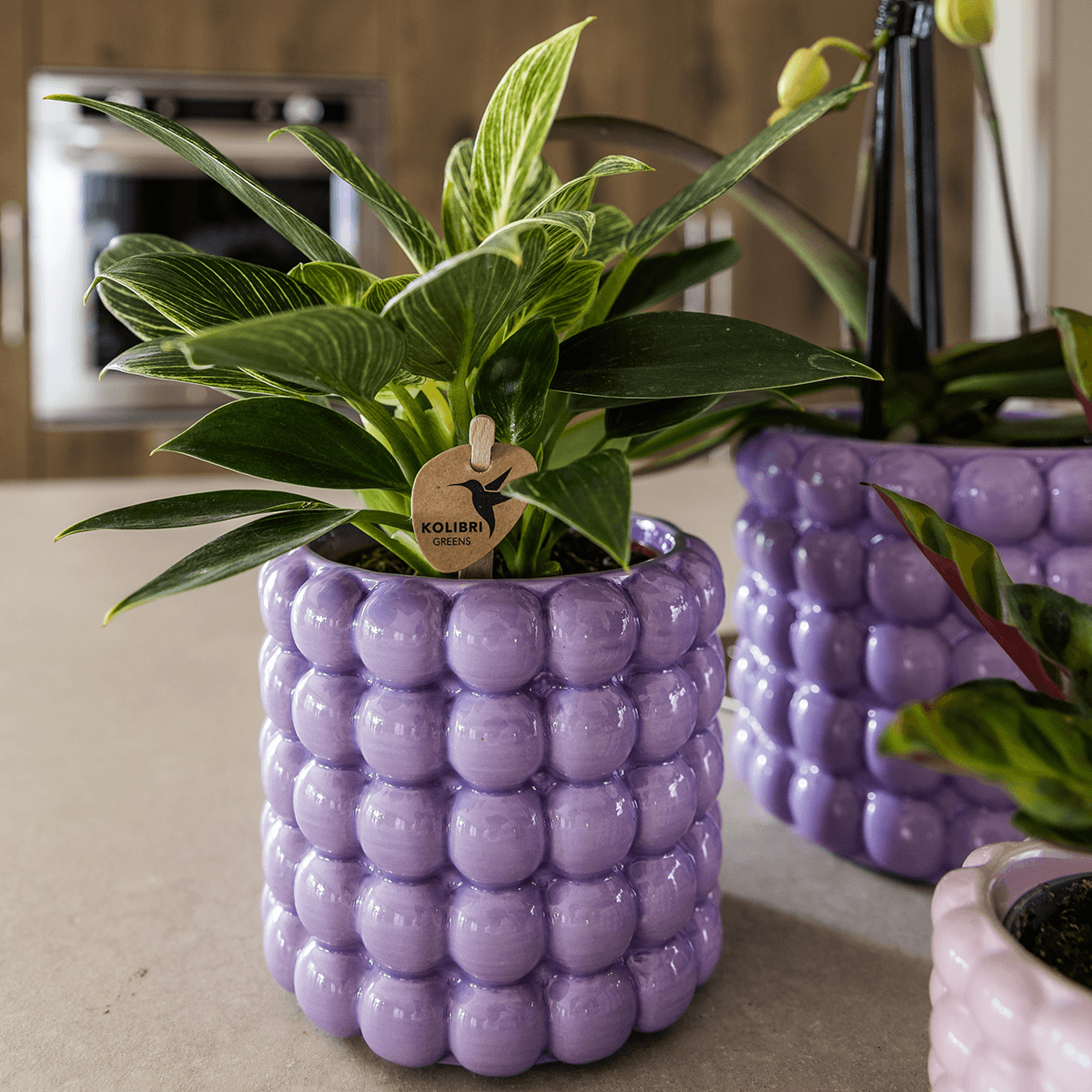 Ziertopf Poppy – Purple – Ø9cm – Moderner Keramik Blumentopf in glänzendem Violett – Stilvoller Übertopf für Zimmerpflanzen, Sukkulenten & Orchideen – Plant