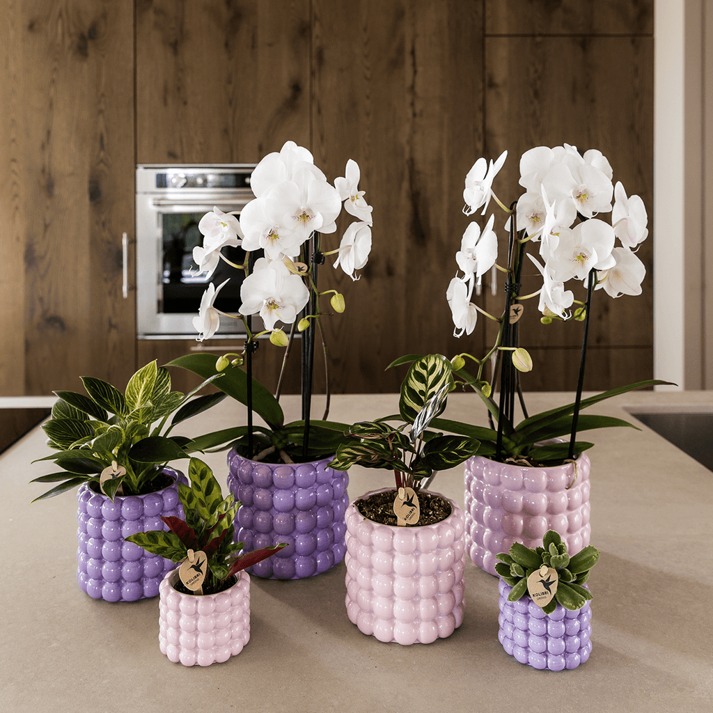 Poppy Ziertopf Pink – Blumentopf Ø12cm – Rosa Übertopf mit 3D Blasendesign – Moderner Pflanztopf glänzend für Zimmerpflanzen Kräuter & Deko – Pot