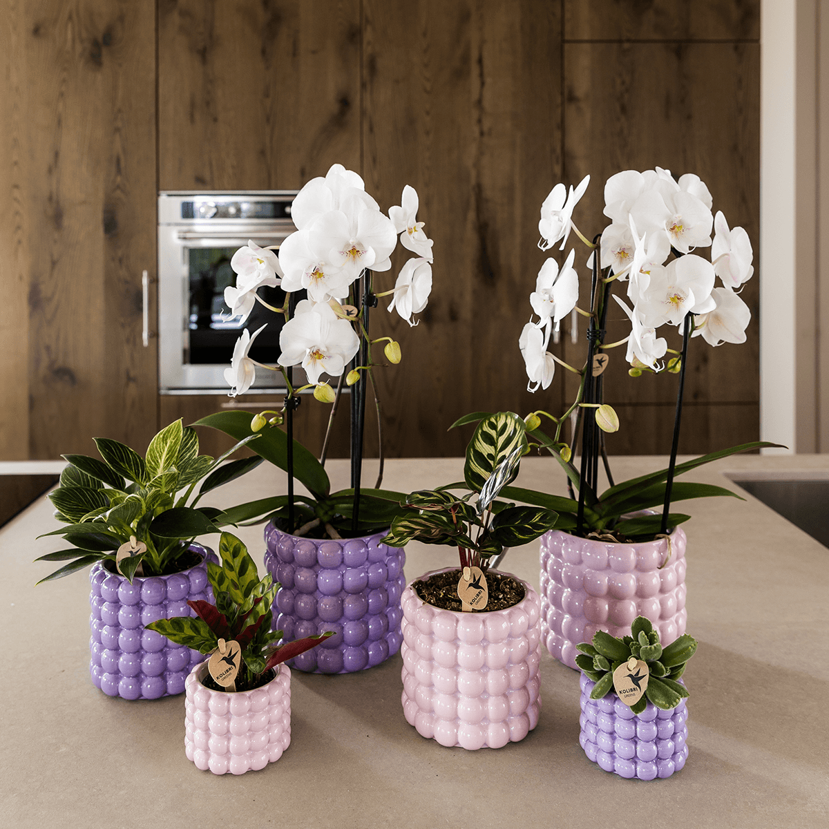 Poppy Ziertopf Pink – Blumentopf Ø12cm – Rosa Übertopf mit 3D Blasendesign – Moderner Pflanztopf glänzend für Zimmerpflanzen Kräuter & Deko – Pot