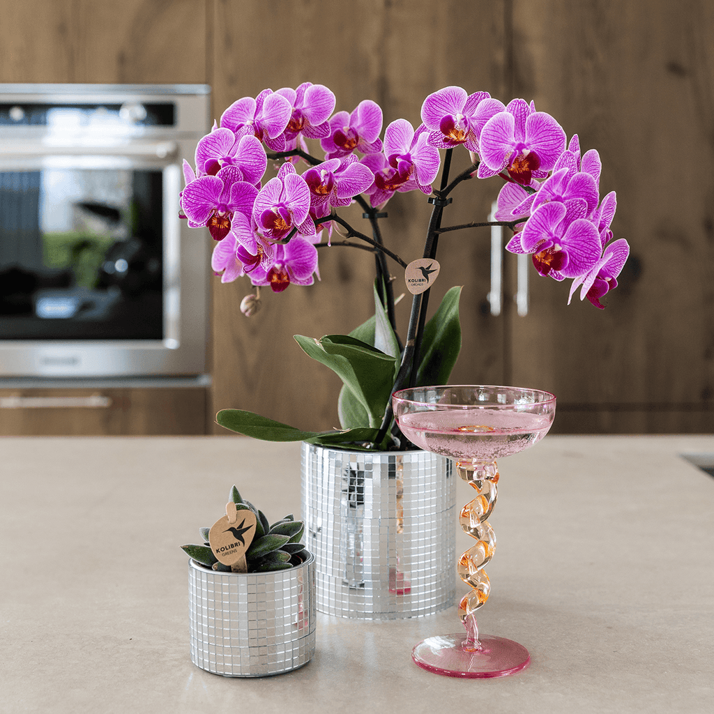 Blumentopf Disco – Ø9cm – Moderner Keramik Ziertopf mit glänzender Struktur – Stilvoller Übertopf für kleine Zimmerpflanzen, Sukkulenten & Kakteen – Plant