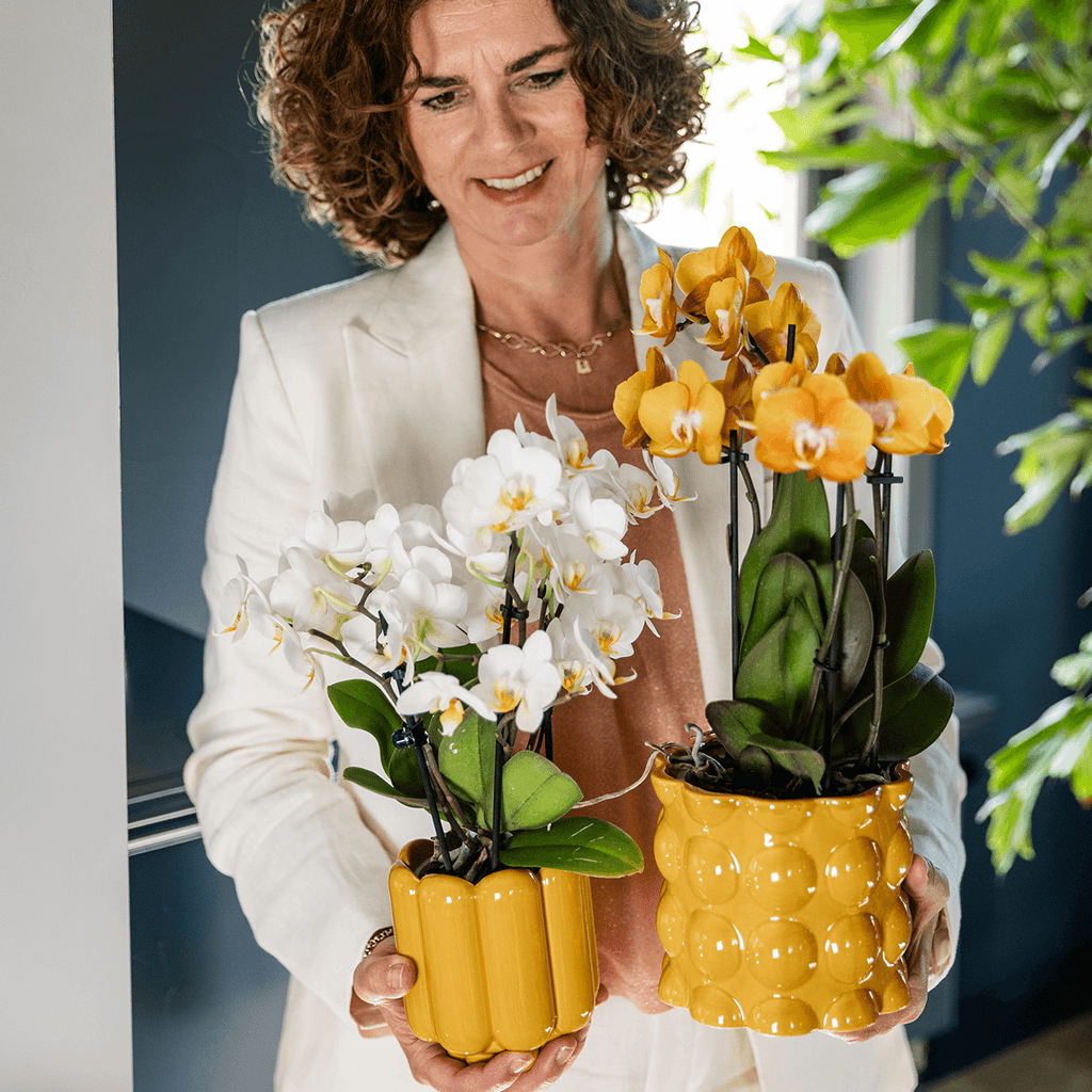 Übertopf Cotton Shine gelb Ø12cm – Blumentopf mit Blasenrelief – hochglänzender Retro – Übertopf im 70er – Design – Pot