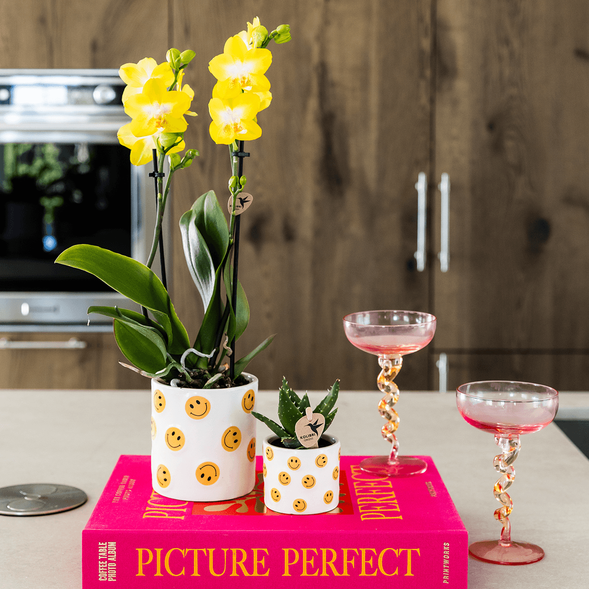 Smiley Pflanzenset – gelbe Phalaenopsis Albenga Orchidee Ø9cm + Sukkulente inkl. Keramik – Übertöpfe – fröhliche Zimmerpflanzen Deko