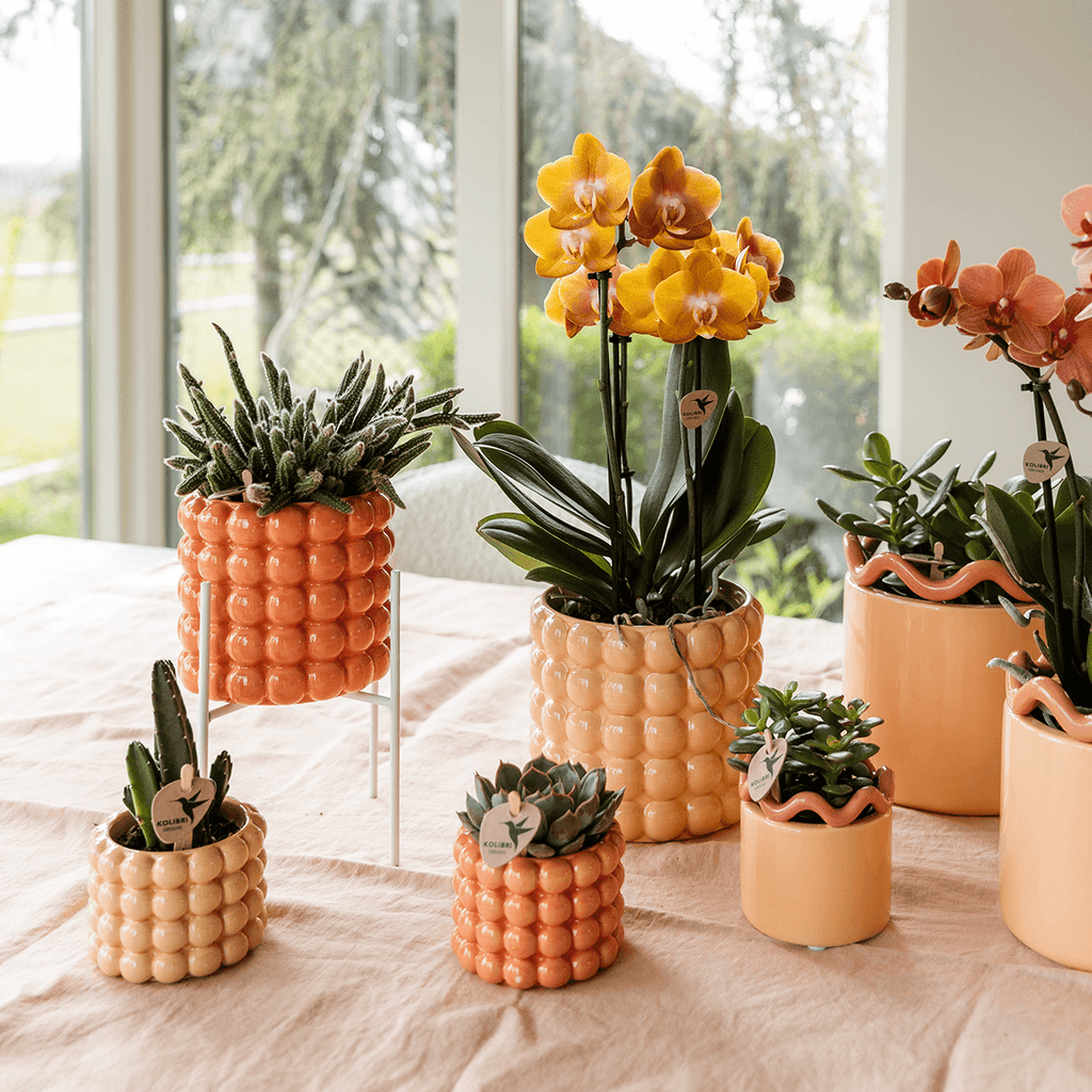 Poppy Pflanztopf – Orange – Ø9cm – Dekorativer Übertopf in Keramikoptik – Moderner Blumentopf für Zimmerpflanzen & Orchideen – Stilvolles Wohnaccessoire – Plant
