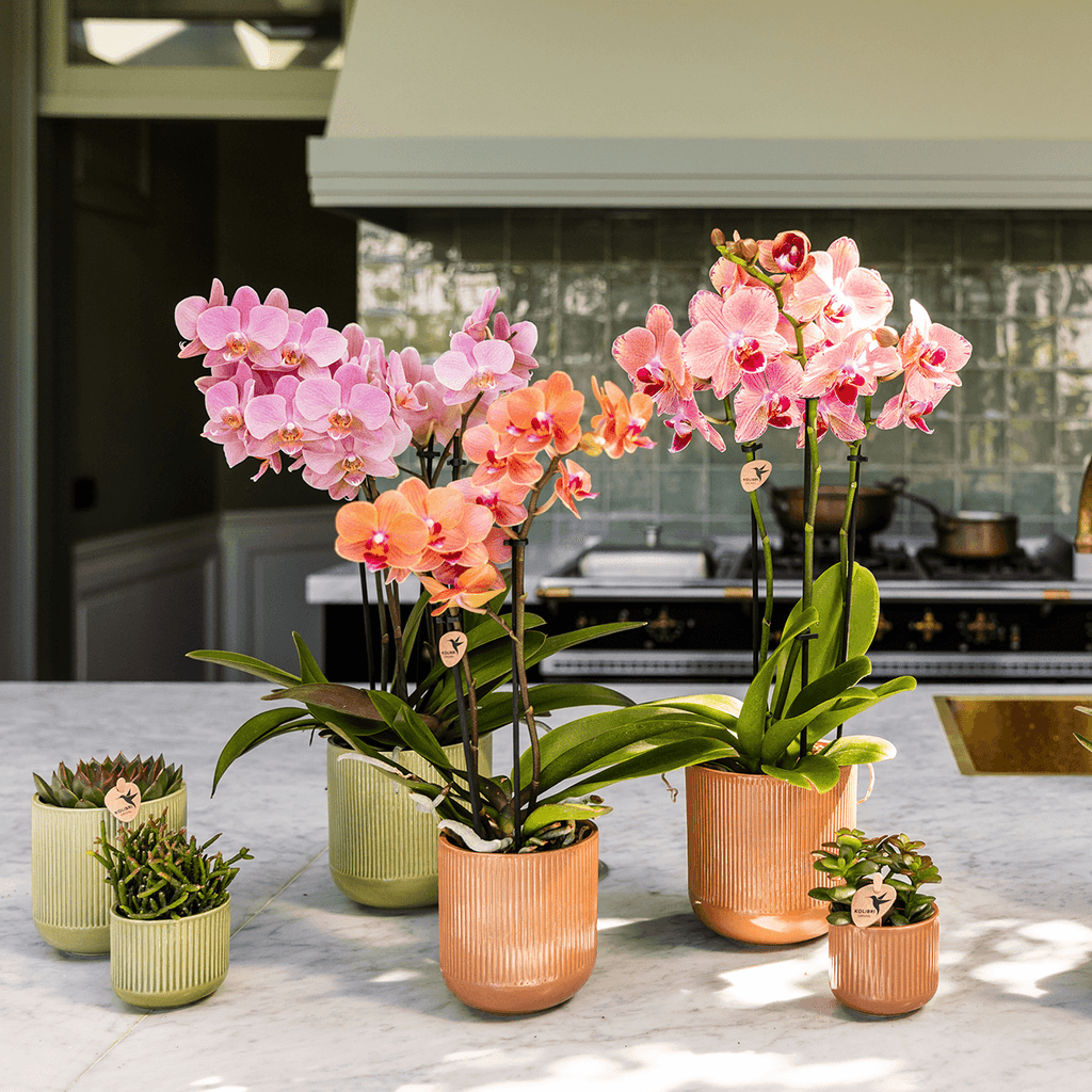 Dekotopf Flare ocker Ø6cm – Mini Blumentopf mit Rillenmuster – runder Retro – Übertopf im 70er – Design – Zimmerpflanzen – Pot