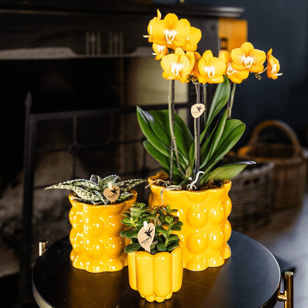 Übertopf Cotton Shine gelb Ø12cm – Blumentopf mit Blasenrelief – hochglänzender Retro – Übertopf im 70er – Design – Pot