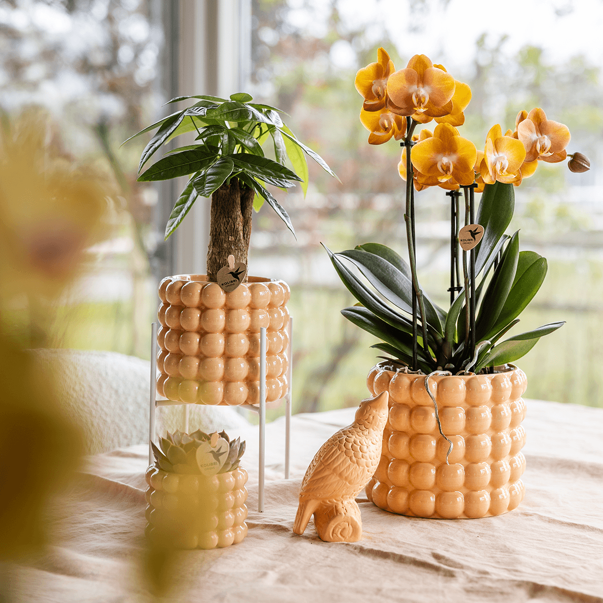 Ziertopf Poppy – Peach – Ø6cm – Kleiner Keramik Blumentopf in glänzendem Pfirsichton – Stilvoller Übertopf für Mini-Zimmerpflanzen, Sukkulenten & Kakteen – Plant