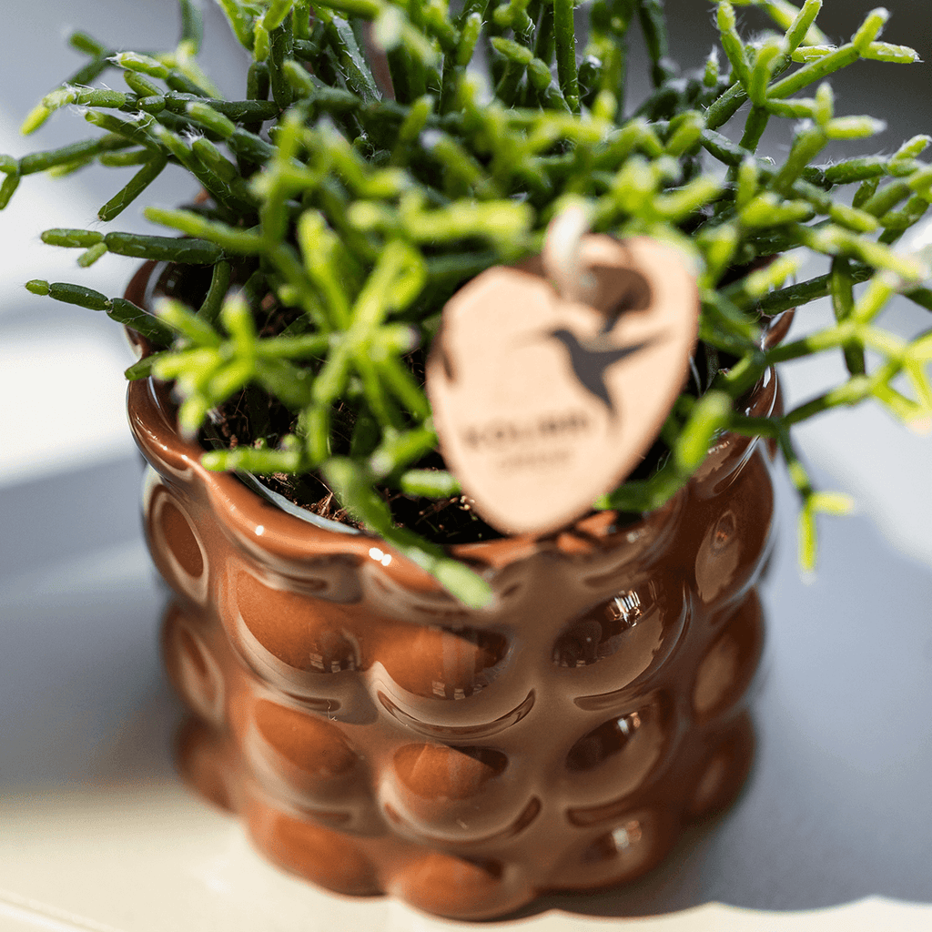Übertopf Cotton Shine braun Ø12cm – Blumentopf mit Blasenrelief – hochglänzender Retro – Übertopf im 70er – Design – Pot