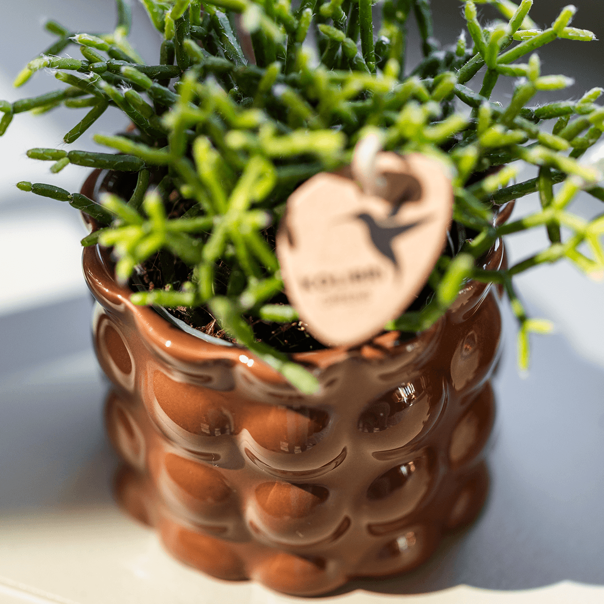 Übertopf Cotton Shine braun Ø12cm – Blumentopf mit Blasenrelief – hochglänzender Retro – Übertopf im 70er – Design – Pot