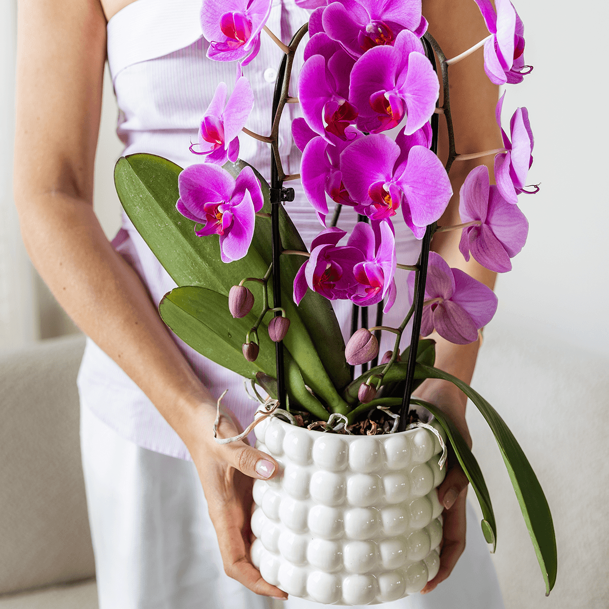 Poppy Ziertopf White – Blumentopf Ø12cm – Weißer Übertopf mit 3D Blasendesign – Moderner Pflanztopf glänzend für Zimmerpflanzen Kräuter & Deko – Pot