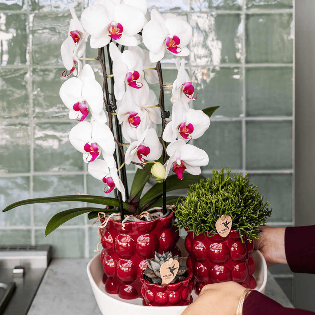 Übertopf Cotton Shine rot Ø12cm – Blumentopf mit Blasenrelief – hochglänzender Retro – Übertopf im 70er – Design – Pot