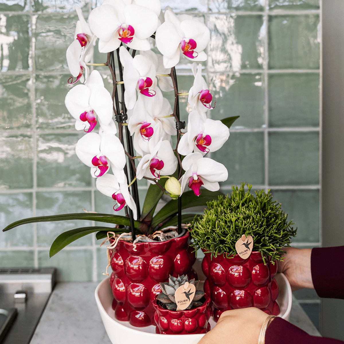 Übertopf Cotton Shine rot Ø12cm – Blumentopf mit Blasenrelief – hochglänzender Retro – Übertopf im 70er – Design – Pot