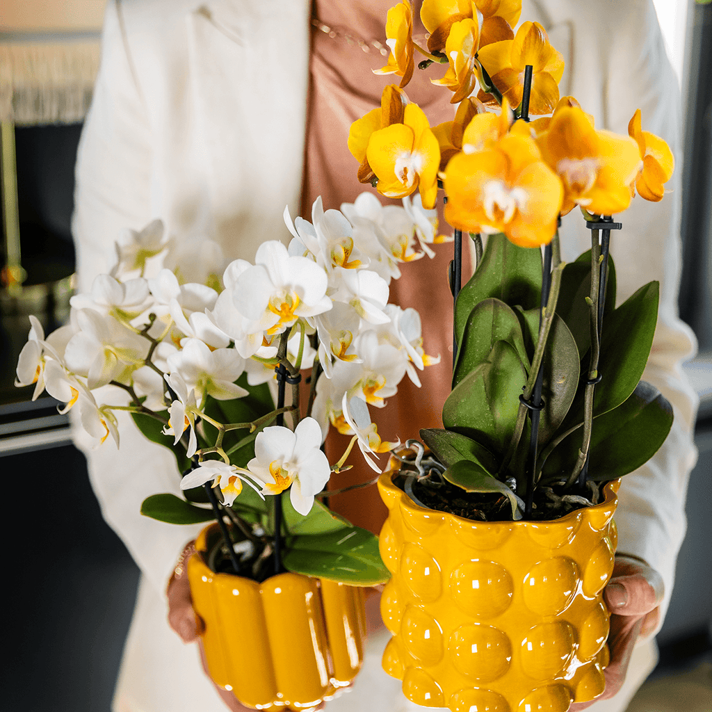 Übertopf Cotton Shine gelb Ø12cm – Blumentopf mit Blasenrelief – hochglänzender Retro – Übertopf im 70er – Design – Pot