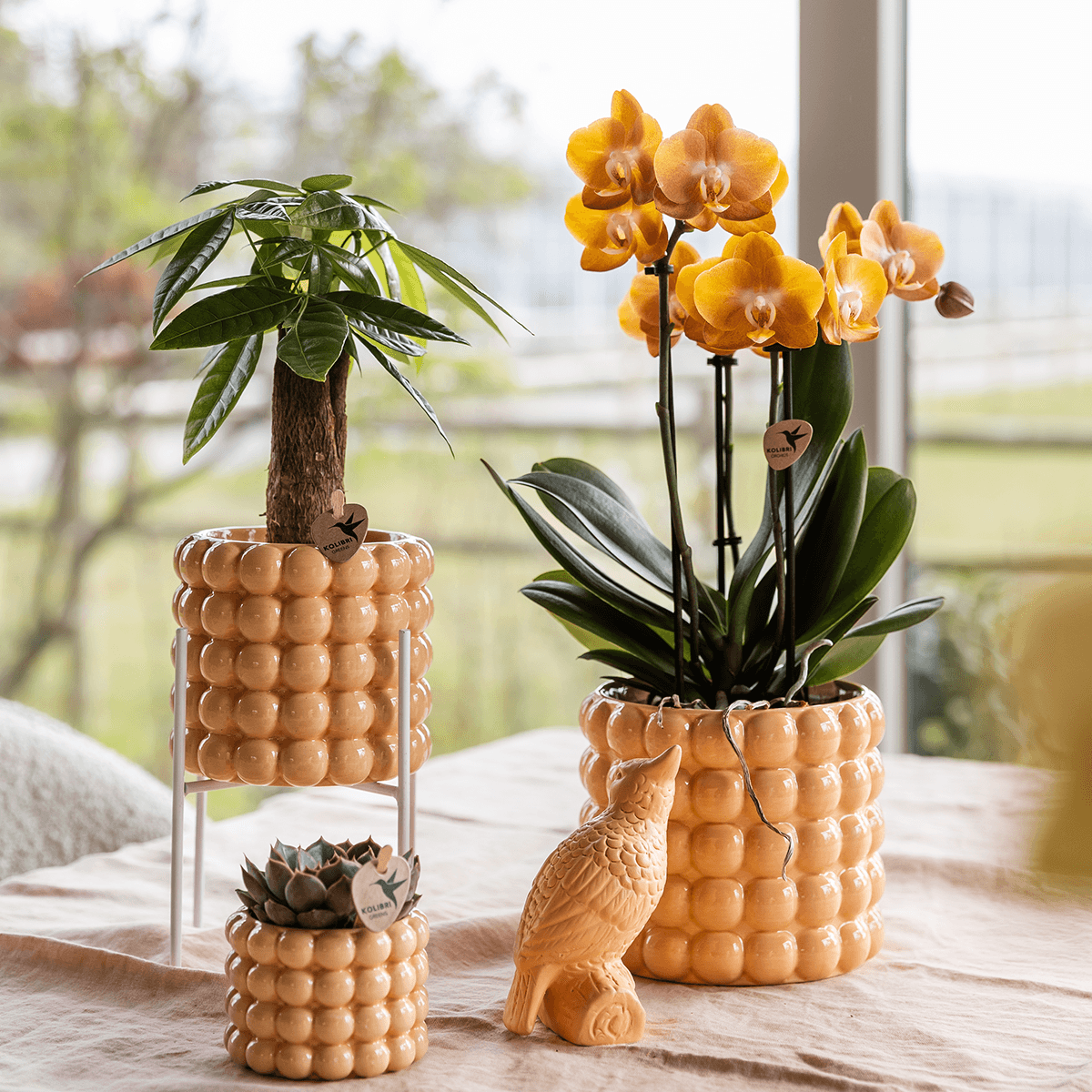 Ziertopf Poppy – Peach – Ø6cm – Kleiner Keramik Blumentopf in glänzendem Pfirsichton – Stilvoller Übertopf für Mini-Zimmerpflanzen, Sukkulenten & Kakteen – Plant