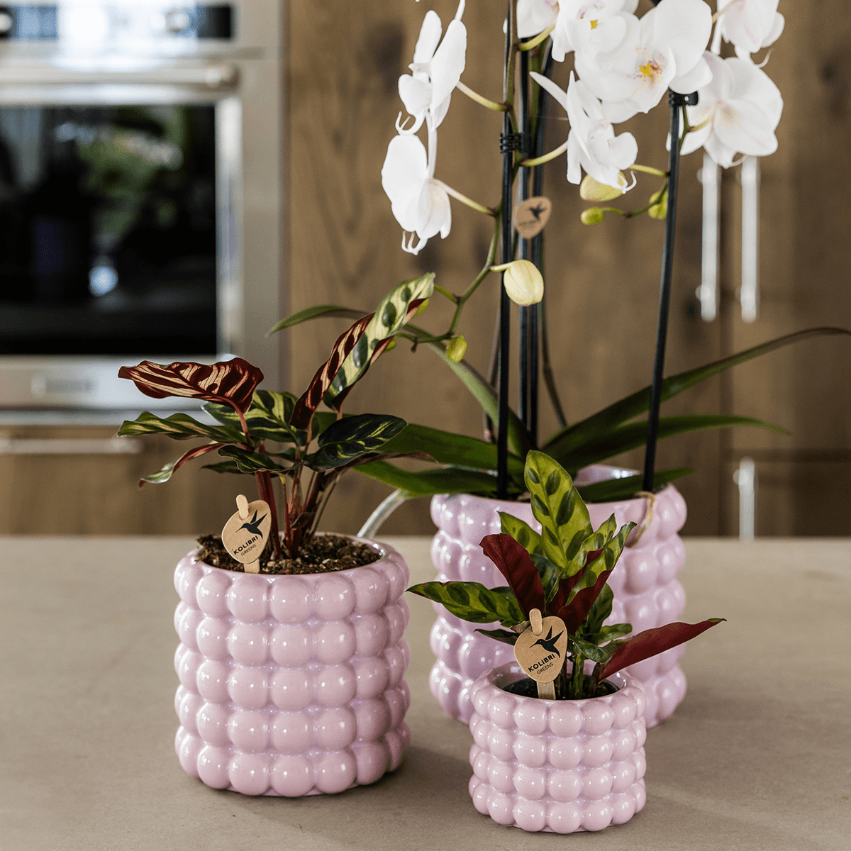 Ziertopf Poppy – Pink – Ø6cm – Kleiner Keramik Blumentopf in glänzendem Rosaton – Stilvoller Übertopf für Mini-Zimmerpflanzen, Sukkulenten & Kakteen – Plant