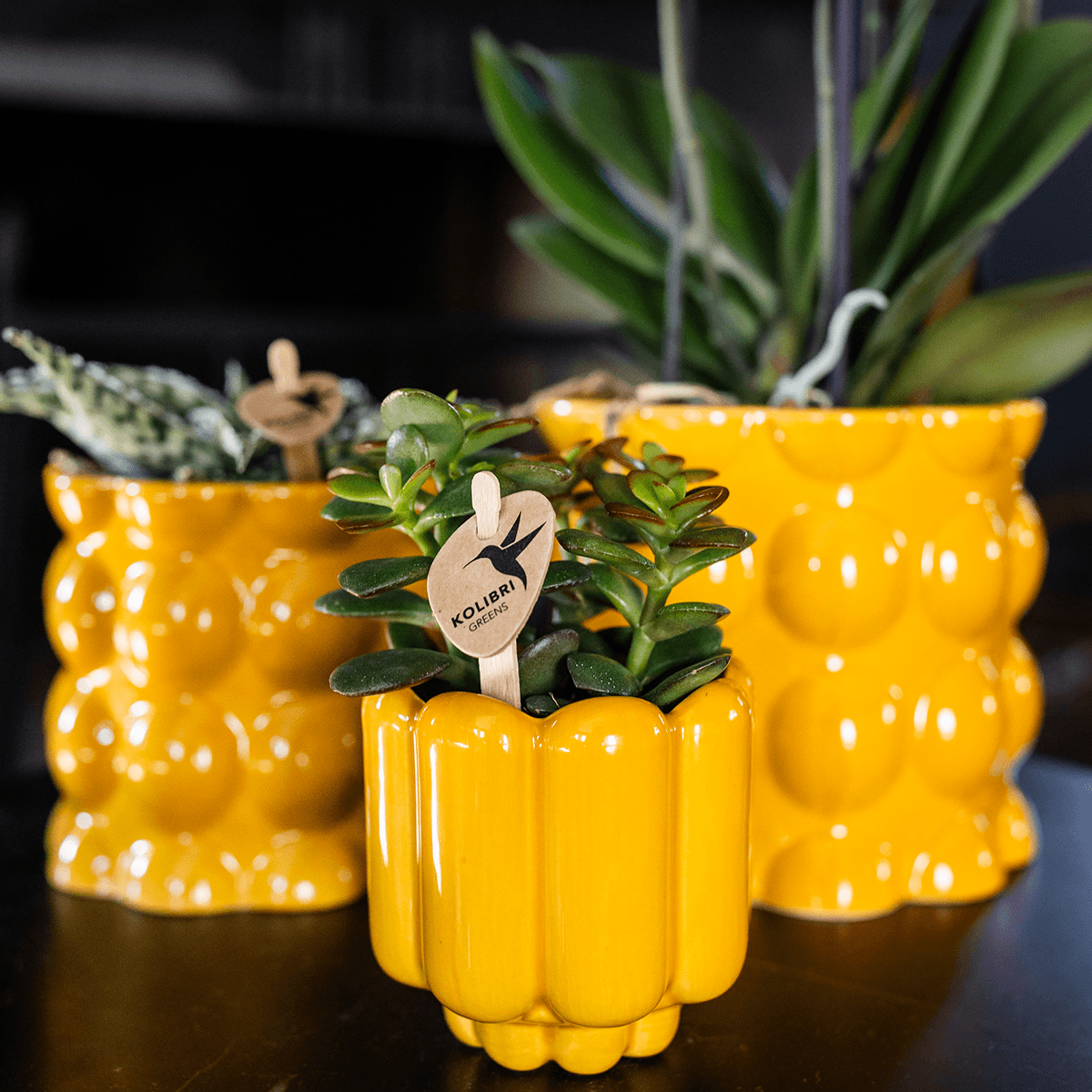 Übertopf Retro Shine gelb Ø6cm – Mini Blumentopf mit Blasenrelief – hochglänzender Retro – Übertopf im 70er – Design – Zimmerpflanzen – Pot