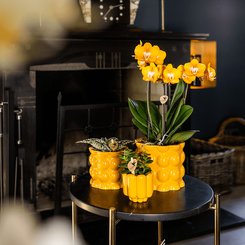 Übertopf Retro Shine gelb Ø9cm – Blumentopf mit Blasenrelief – hochglänzender Retro – Übertopf im 70er – Design – Pot
