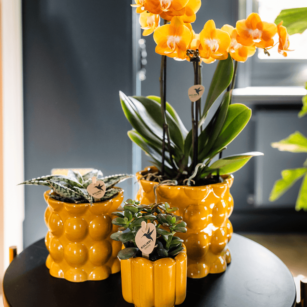 Übertopf Cotton Shine gelb Ø12cm – Blumentopf mit Blasenrelief – hochglänzender Retro – Übertopf im 70er – Design – Pot