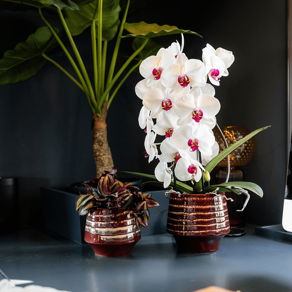 Übertopf Moonstone Burgundy Ø9cm – eleganter Keramik Blumentopf in Burgundrot – fein geschichtete Glasur mit dezentem Glanz – Pot