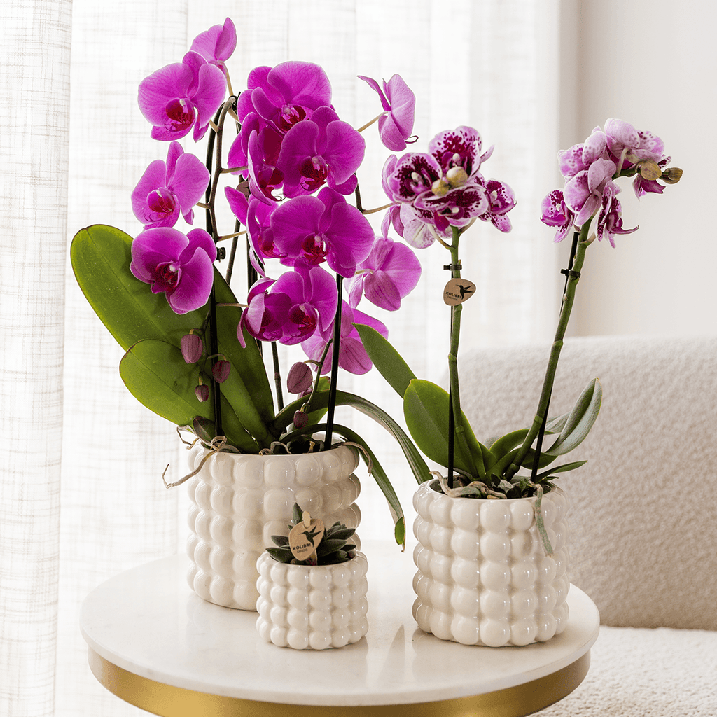 Poppy Pflanztopf – Weiß – Ø9cm – Dekorativer Blumentopf in Keramikoptik – Moderner Übertopf für Zimmerpflanzen & Orchideen – Stilvolles Wohnaccessoire – Plant