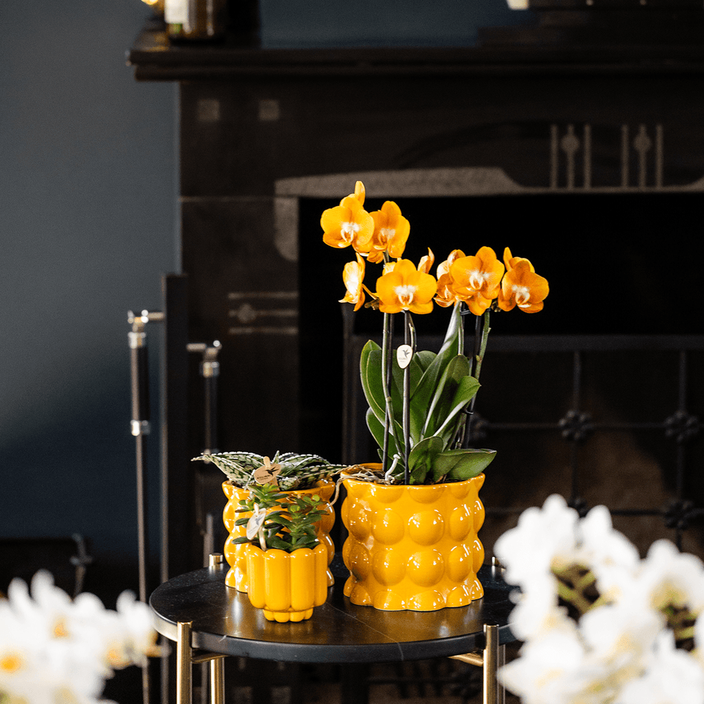 Übertopf Cotton Shine gelb Ø12cm – Blumentopf mit Blasenrelief – hochglänzender Retro – Übertopf im 70er – Design – Pot