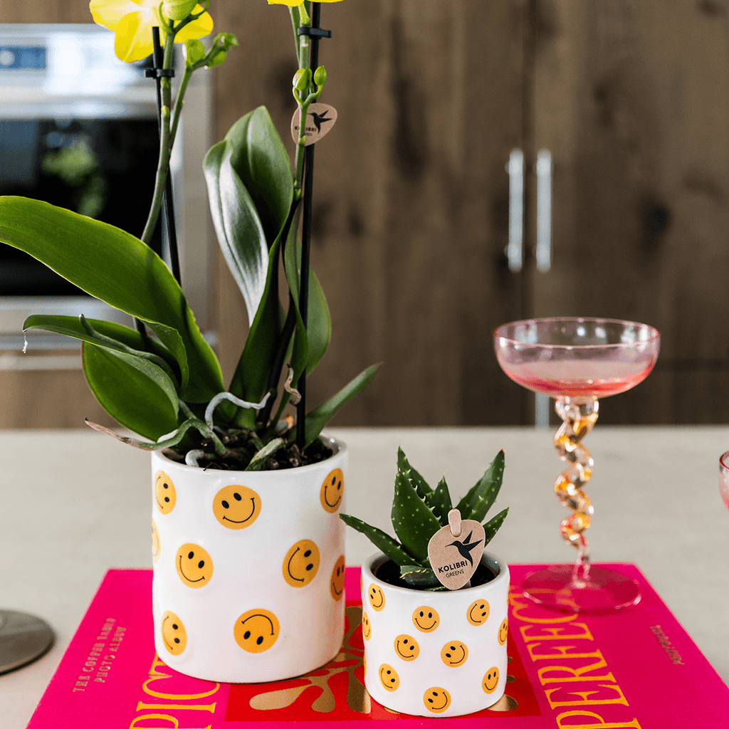 Smiley Übertopf Ø9cm – weißer Blumentopf mit gelben Smileys – Pflanztopf für Mini – Orchidee, Kaktus & Zimmerpflanzen – Gute – Pot