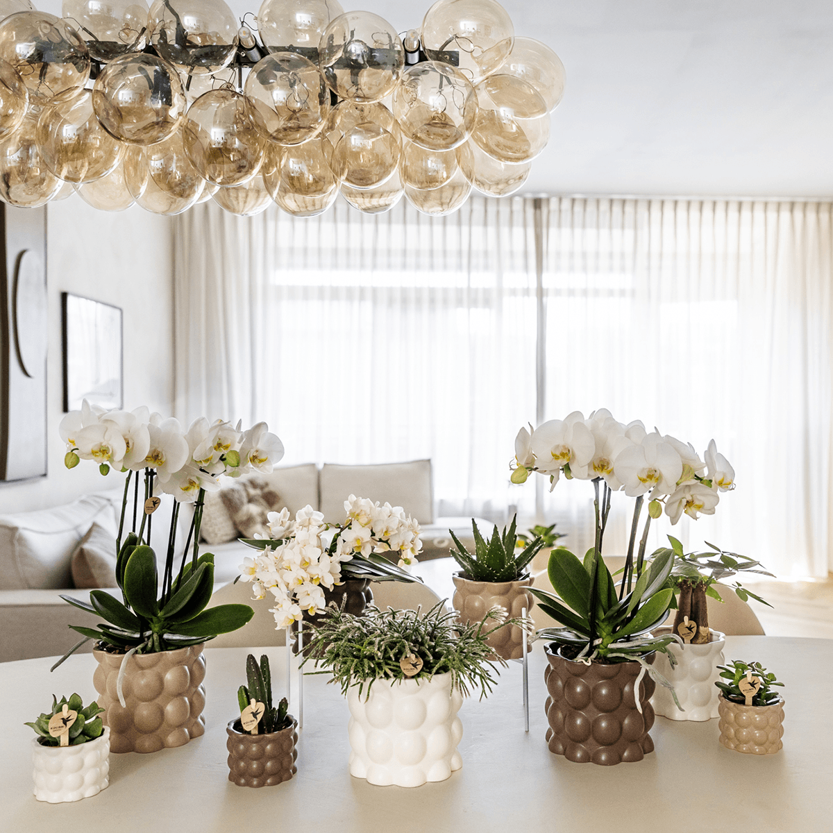 Ziertopf Cotton – Weiß – Ø6cm – Blumentopf mit matter Oberfläche – Pflanztopf aus der Slow Living Kollektion – Für kleine Pflanzen & Orchideen – Plant