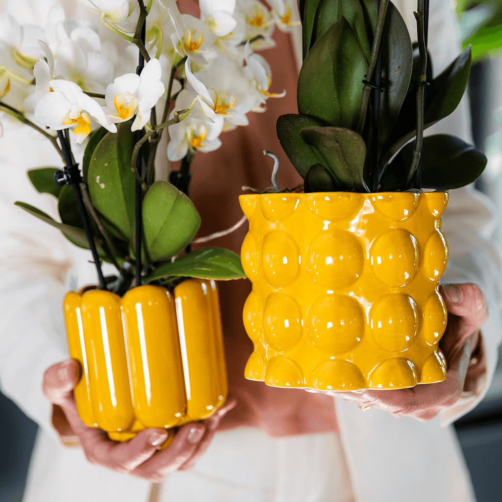 Übertopf Cotton Shine gelb Ø12cm – Blumentopf mit Blasenrelief – hochglänzender Retro – Übertopf im 70er – Design – Pot