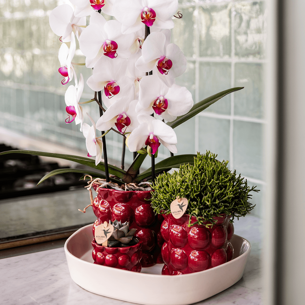 Übertopf Cotton Shine rot Ø12cm – Blumentopf mit Blasenrelief – hochglänzender Retro – Übertopf im 70er – Design – Pot