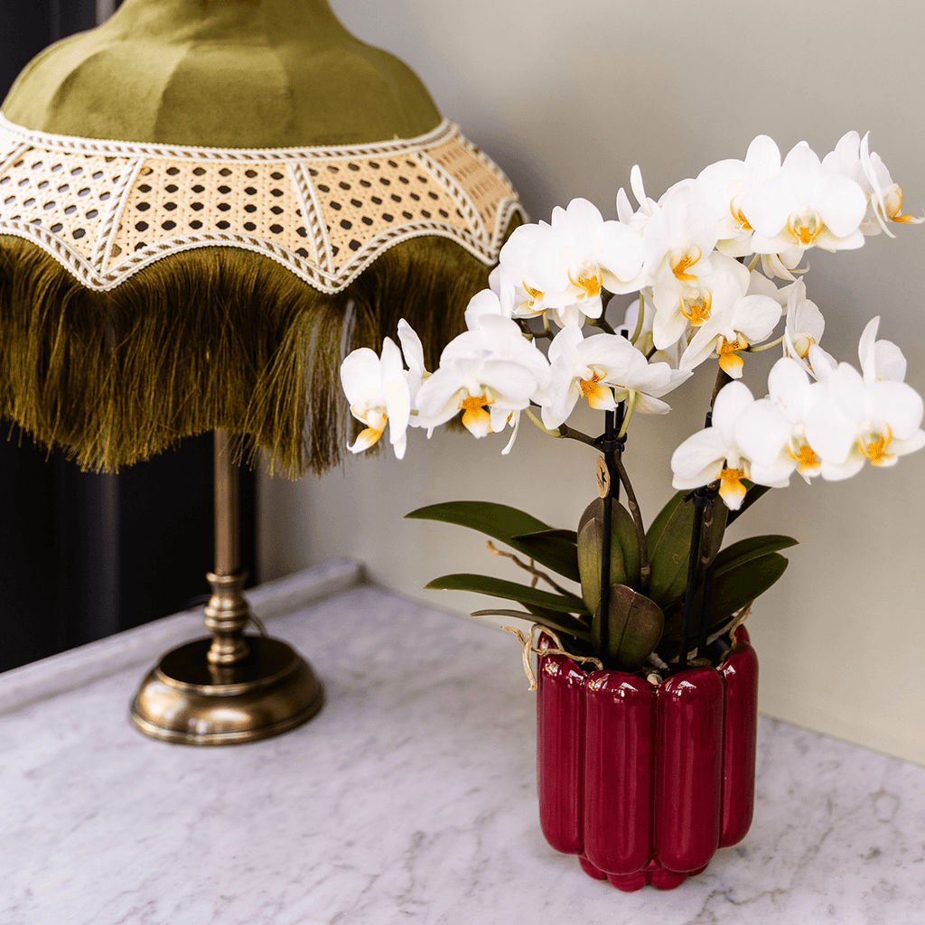 Übertopf Retro Shine rot Ø9cm – Blumentopf mit Blasenrelief – hochglänzender Retro – Übertopf im 70er – Design – Pot