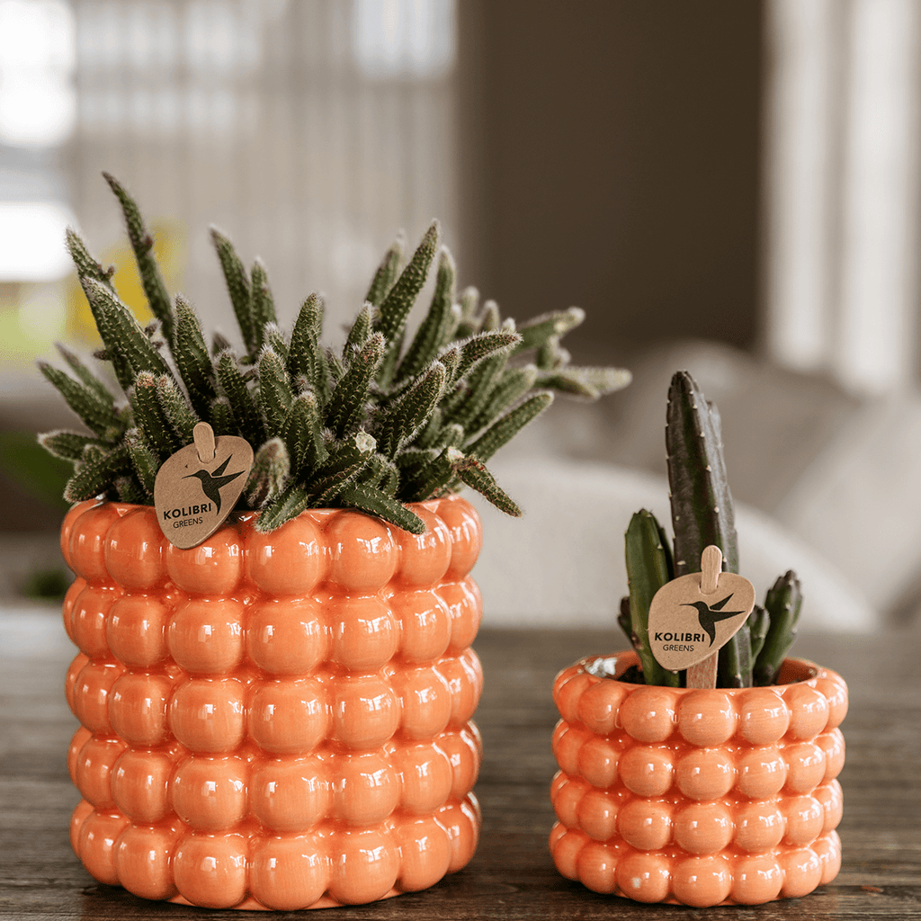 Poppy Pflanztopf – Orange – Ø9cm – Dekorativer Übertopf in Keramikoptik – Moderner Blumentopf für Zimmerpflanzen & Orchideen – Stilvolles Wohnaccessoire – Plant