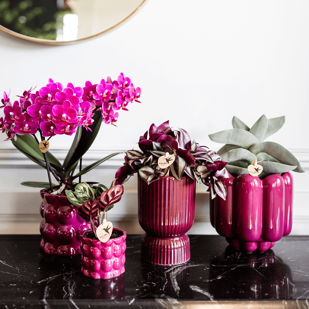 Diabolo Ziertopf Ø9cm – Blumentopf in Burgundy – Keramik – Übertopf mit Rillenstruktur & glänzender Oberfläche – Plant