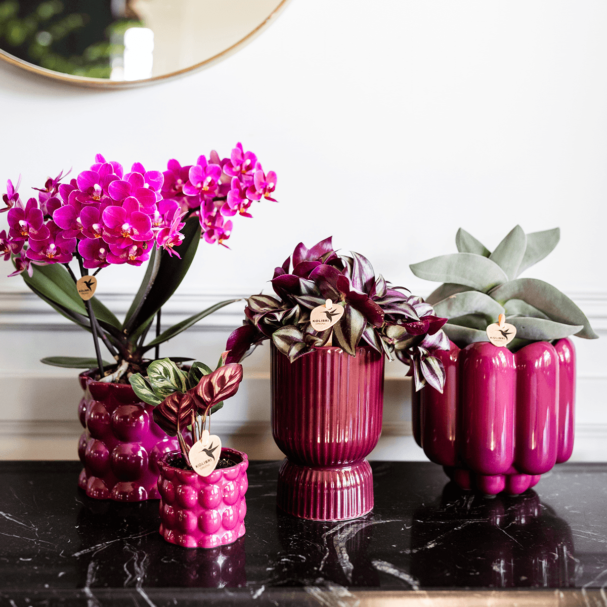 Diabolo Ziertopf Ø9cm – Blumentopf in Burgundy – Keramik – Übertopf mit Rillenstruktur & glänzender Oberfläche – Plant