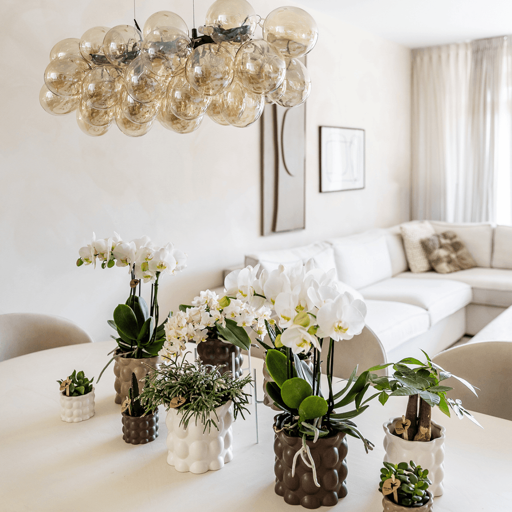 Ziertopf Cotton – Weiß – Ø6cm – Blumentopf mit matter Oberfläche – Pflanztopf aus der Slow Living Kollektion – Für kleine Pflanzen & Orchideen – Plant
