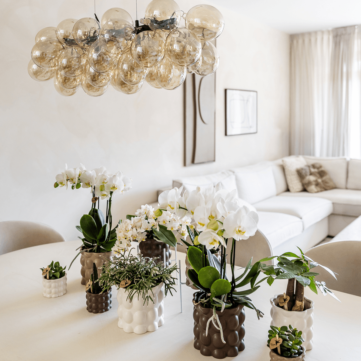 Ziertopf Cotton – Weiß – Ø6cm – Blumentopf mit matter Oberfläche – Pflanztopf aus der Slow Living Kollektion – Für kleine Pflanzen & Orchideen – Plant