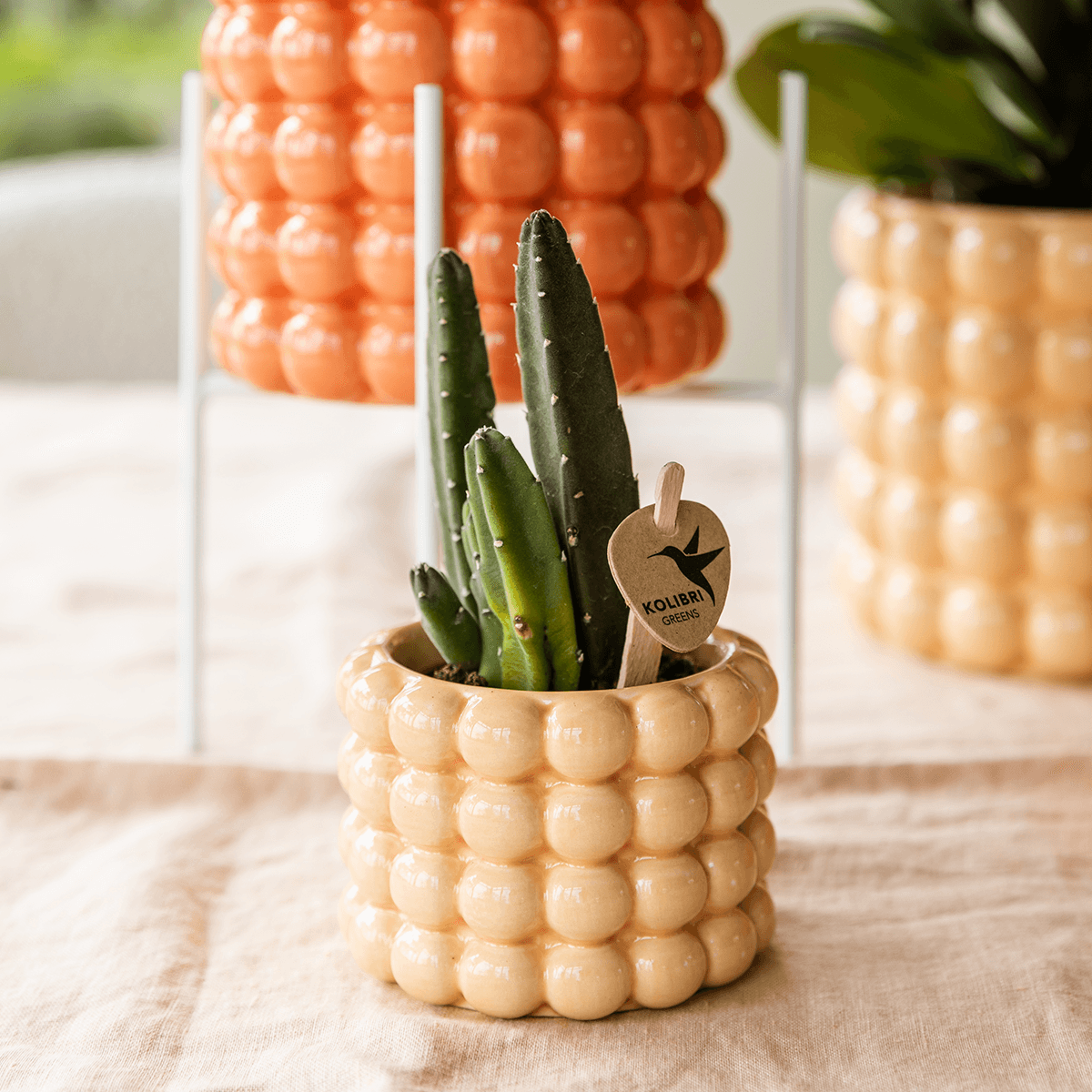 Ziertopf Poppy – Peach – Ø6cm – Kleiner Keramik Blumentopf in glänzendem Pfirsichton – Stilvoller Übertopf für Mini-Zimmerpflanzen, Sukkulenten & Kakteen – Plant