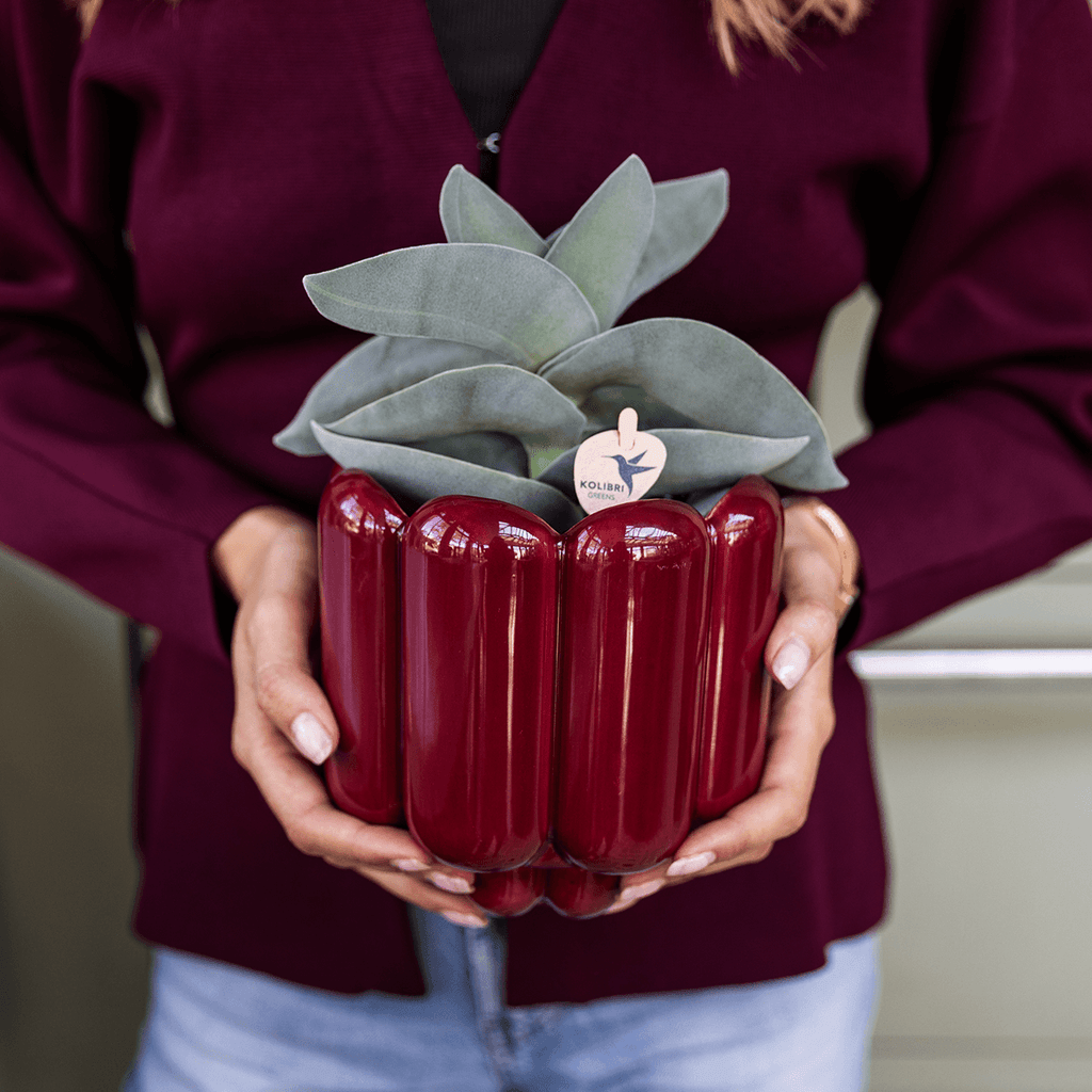 Übertopf Retro Shine rot Ø12cm – Blumentopf mit Blasenrelief – hochglänzender Retro – Übertopf im 70er – Design – Pot