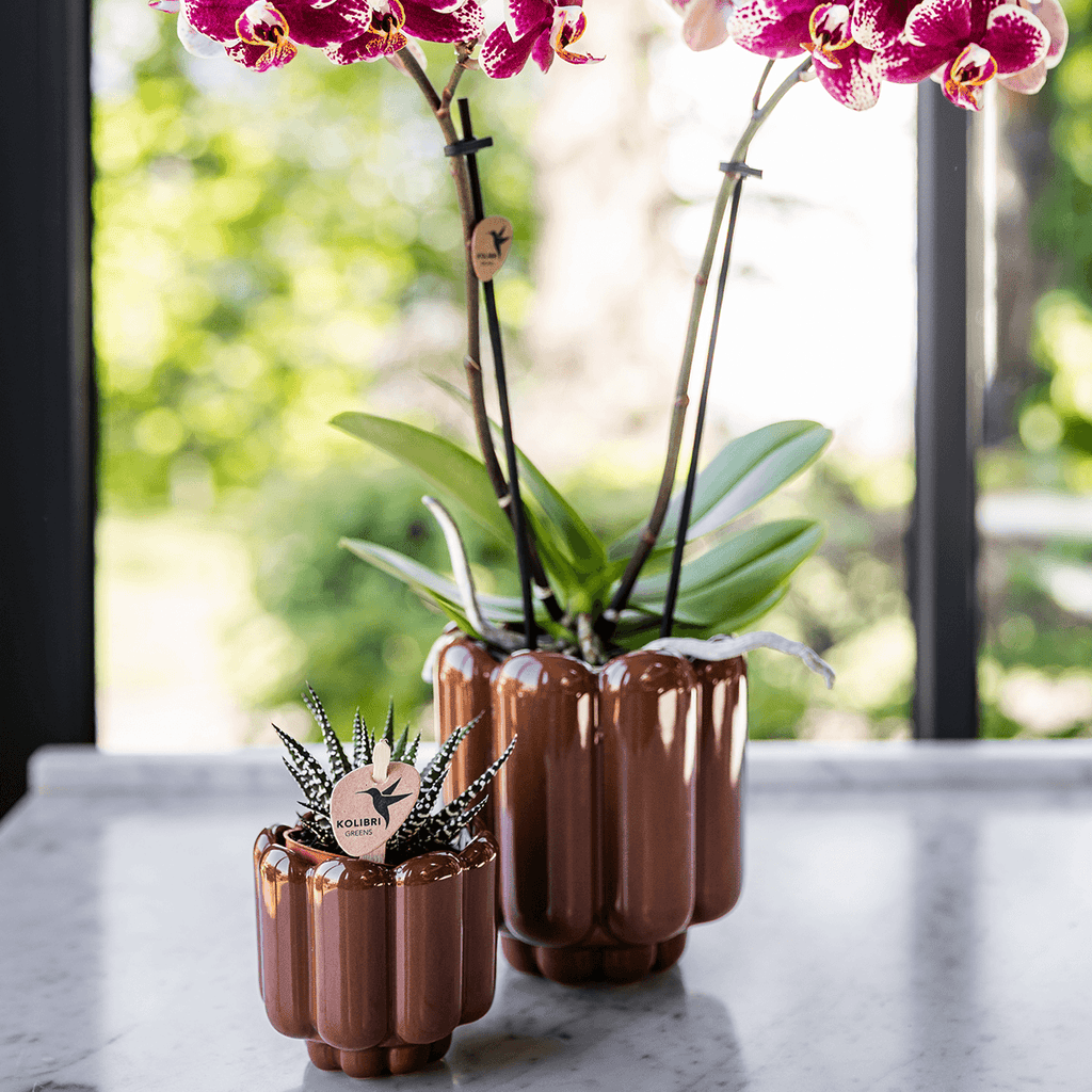 Übertopf Retro Shine braun Ø9cm – Blumentopf mit Blasenrelief – hochglänzender Retro – Übertopf im 70er – Design – Pot