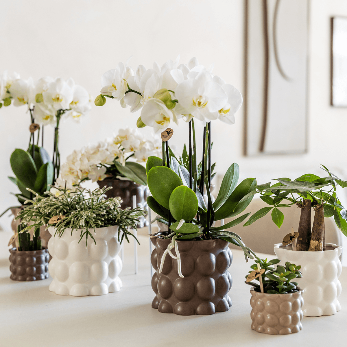 Ziertopf Cotton – Weiß – Ø9cm – Blumentopf mit matter Oberfläche – Pflanztopf aus der Slow Living Kollektion – Für kleine Zimmerpflanzen & Orchideen – Plant