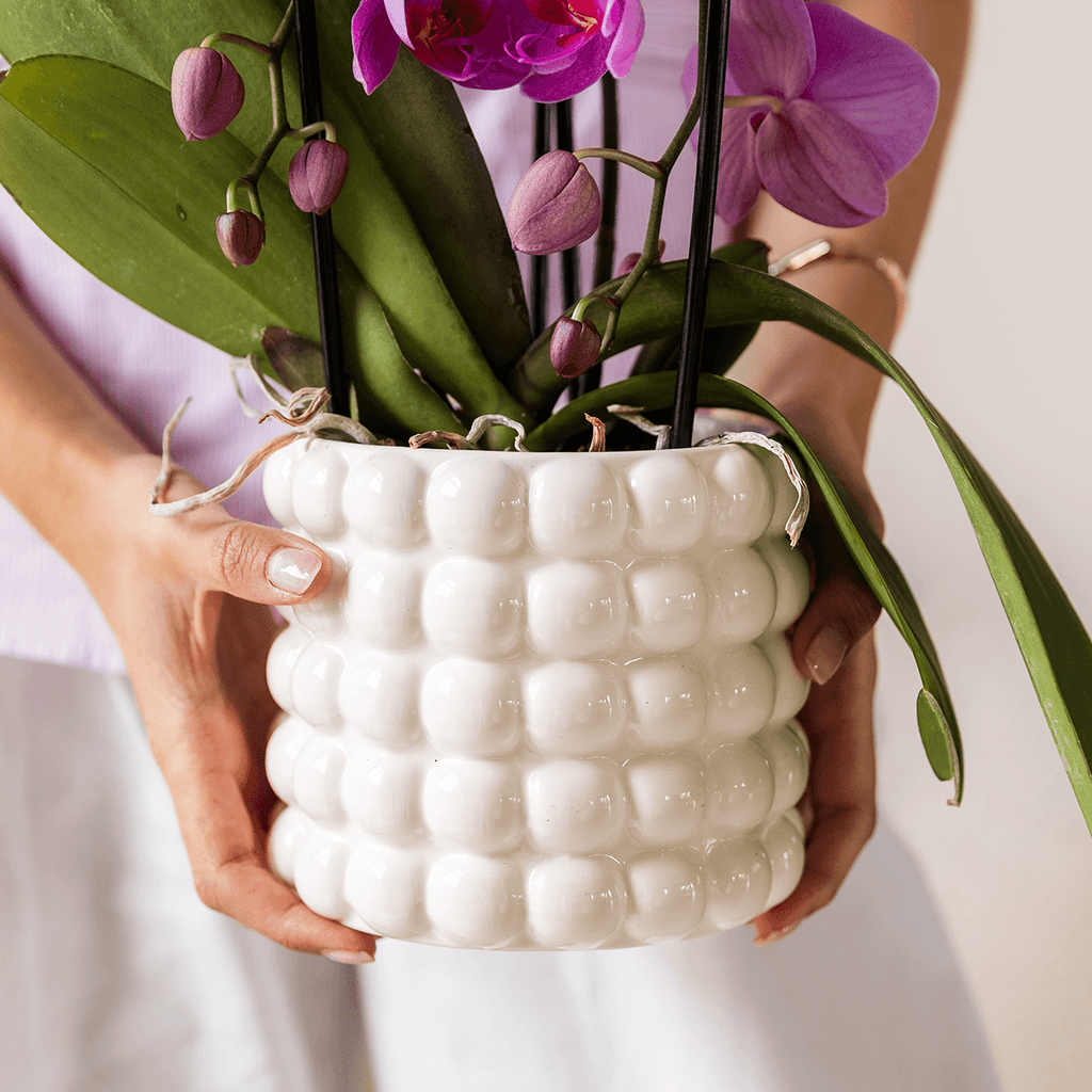 Poppy Pflanztopf – Weiß – Ø9cm – Dekorativer Blumentopf in Keramikoptik – Moderner Übertopf für Zimmerpflanzen & Orchideen – Stilvolles Wohnaccessoire – Plant