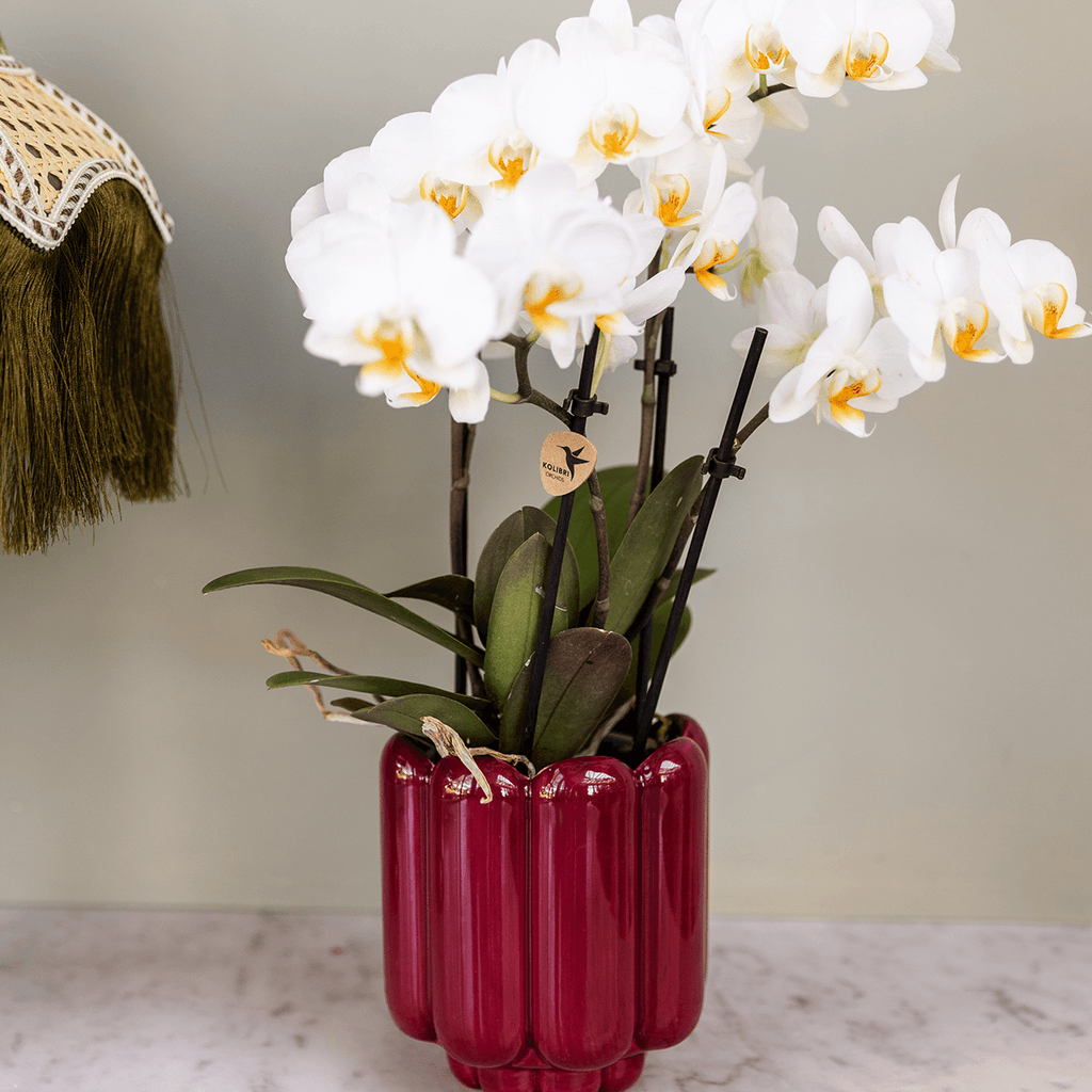 Übertopf Retro Shine rot Ø9cm – Blumentopf mit Blasenrelief – hochglänzender Retro – Übertopf im 70er – Design – Pot