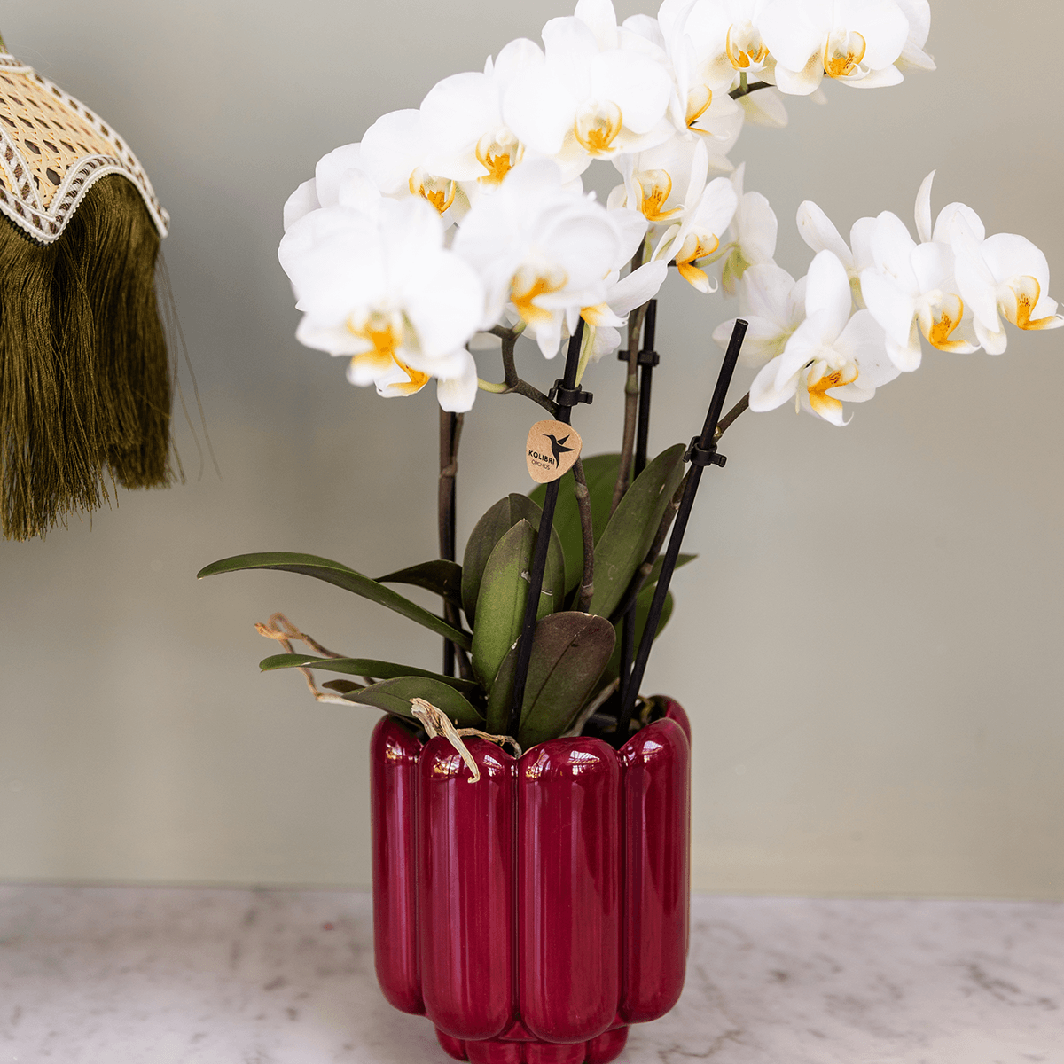 Übertopf Retro Shine rot Ø9cm – Blumentopf mit Blasenrelief – hochglänzender Retro – Übertopf im 70er – Design – Pot