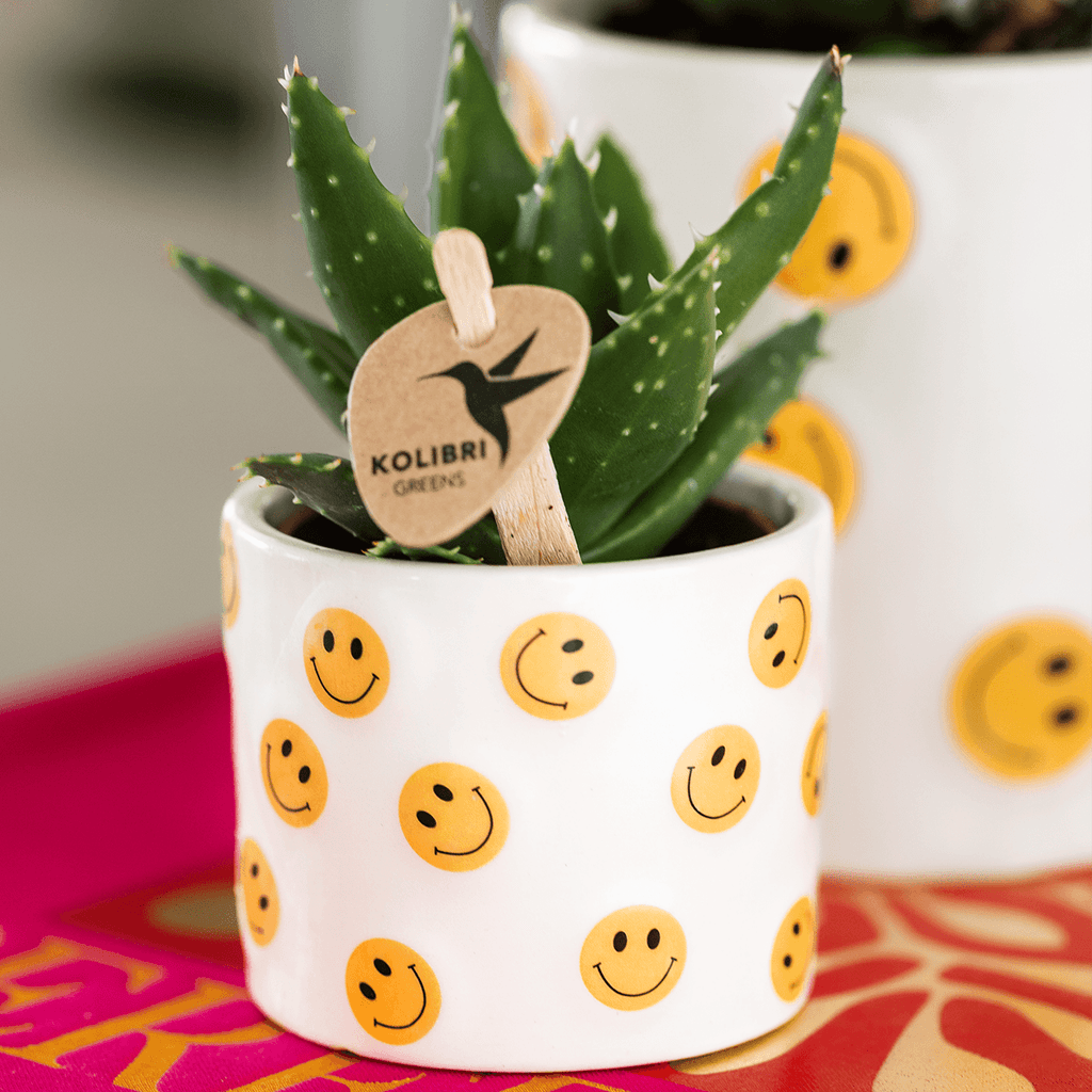 Smiley Übertopf Ø6cm – fröhlicher Mini Blumentopf mit gelben Smileys – Pflanztopf für Sukkulenten, Kakteen & Stecklinge – Pot