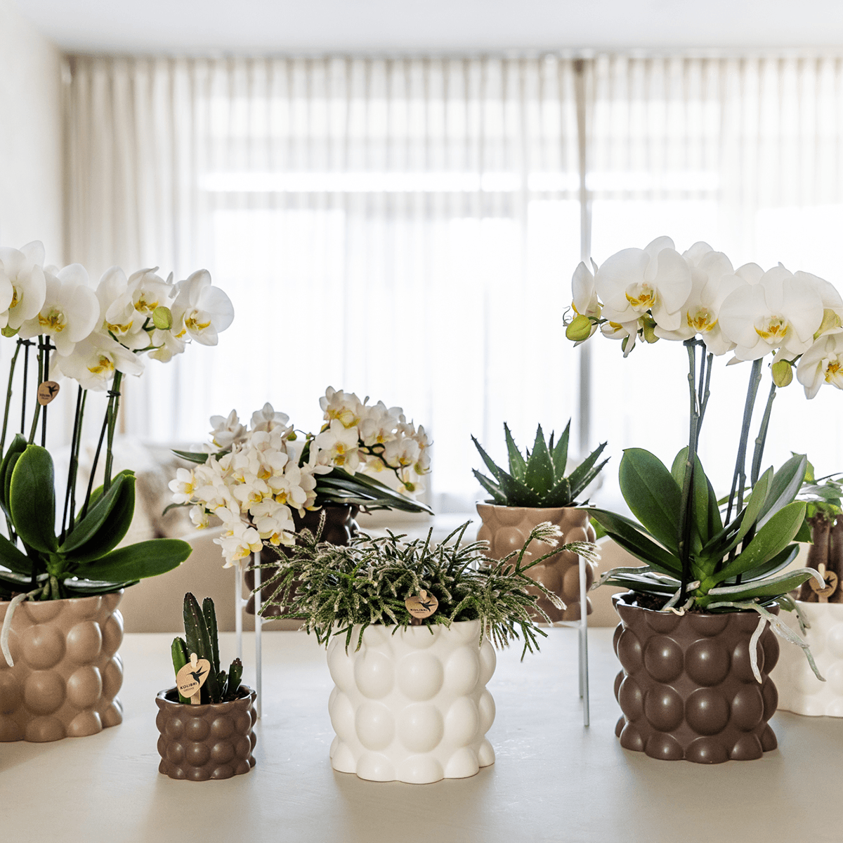 Ziertopf Cotton – Weiß – Ø9cm – Blumentopf mit matter Oberfläche – Pflanztopf aus der Slow Living Kollektion – Für kleine Zimmerpflanzen & Orchideen – Plant