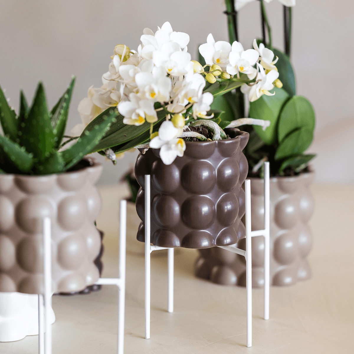 Ziertopf Cotton – Braun – Ø9cm – Blumentopf mit matter Oberfläche – Pflanztopf aus der Slow Living Kollektion – Für kleine Pflanzen & Orchideen – Plant